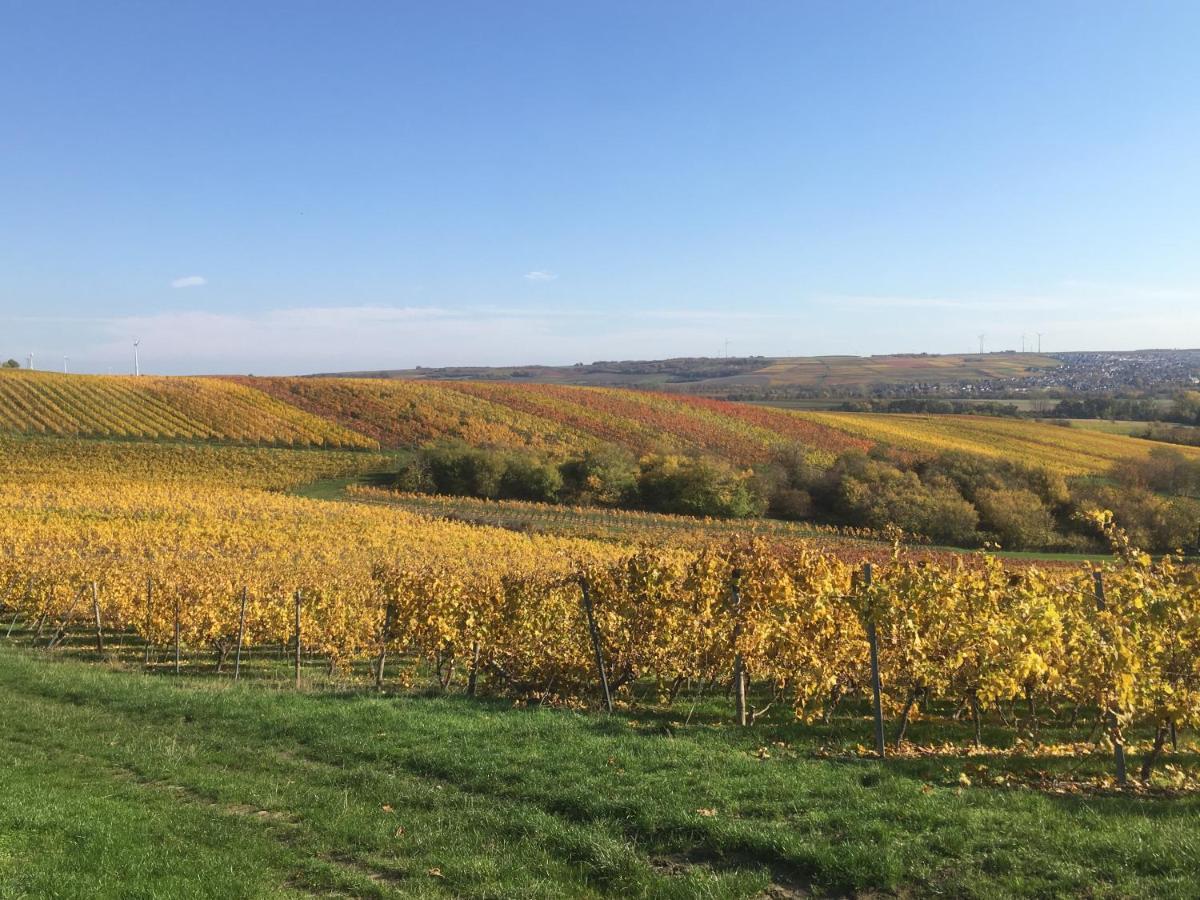 Rheinhessen Apartment Nieder-Olm  ภายนอก รูปภาพ